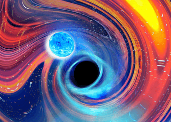 Observation of gravitational waves from two neutron star-black hole mergers