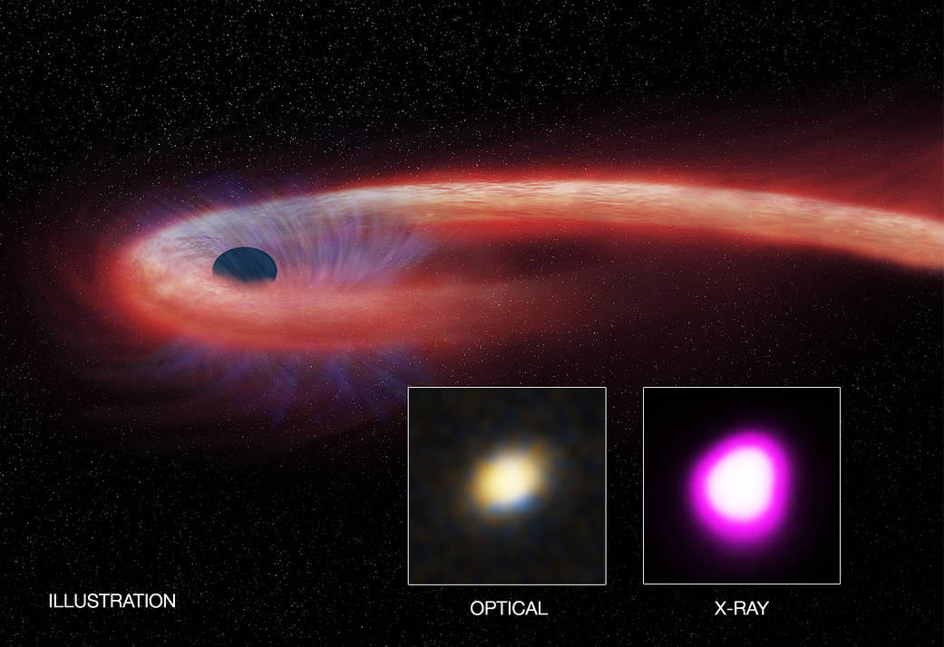 The dynamic universe